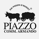 https://www.piazzo.it/